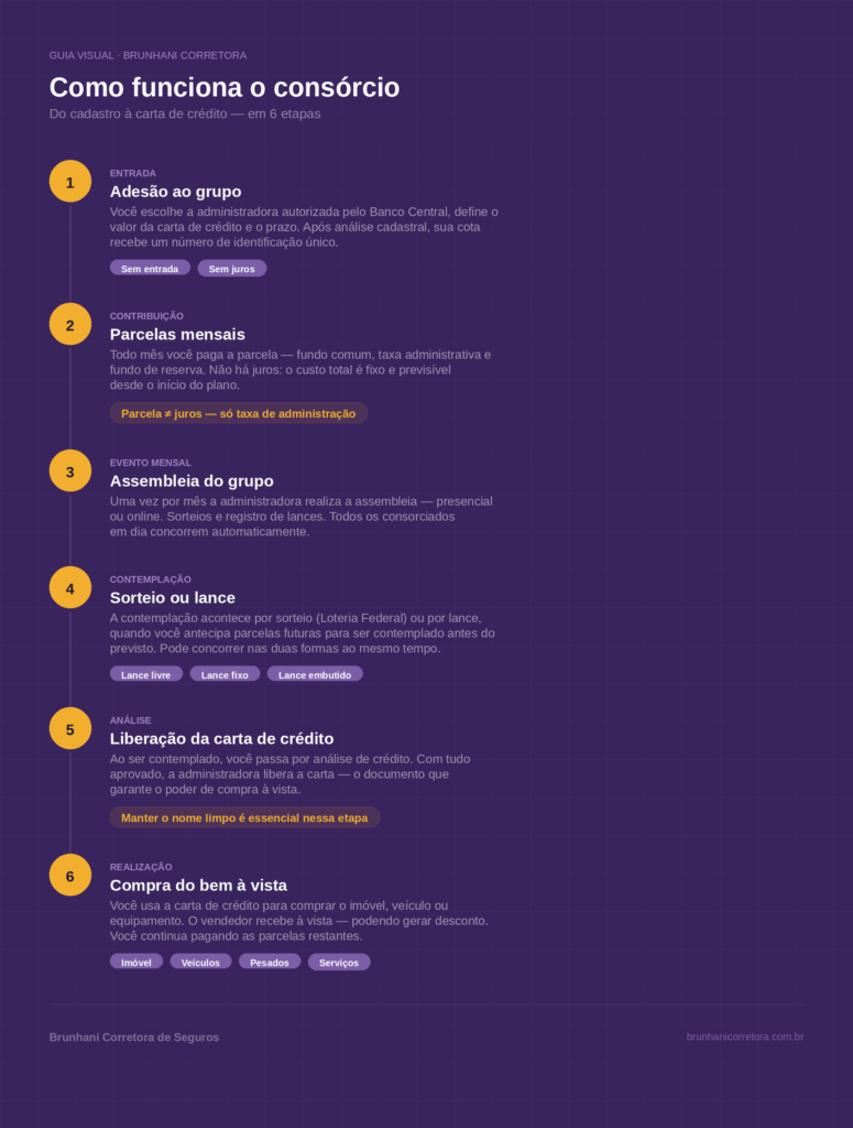 brunhani infografico consorcio